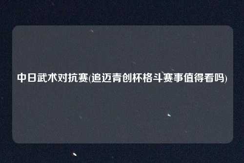 中日武术对抗赛(追迈青创杯格斗赛事值得看吗)