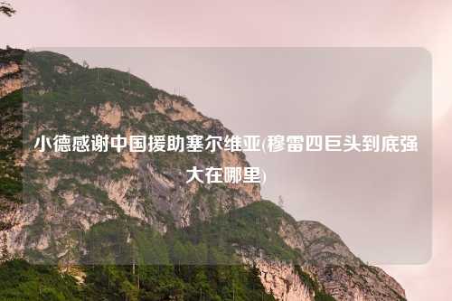 小德感谢中国援助塞尔维亚(穆雷四巨头到底强大在哪里)