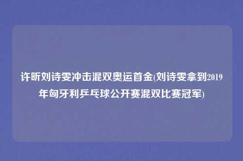 许昕刘诗雯冲击混双奥运首金(刘诗雯拿到2019年匈牙利乒乓球公开赛混双比赛冠军)