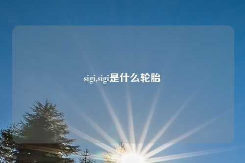sigi,sigi是什么轮胎