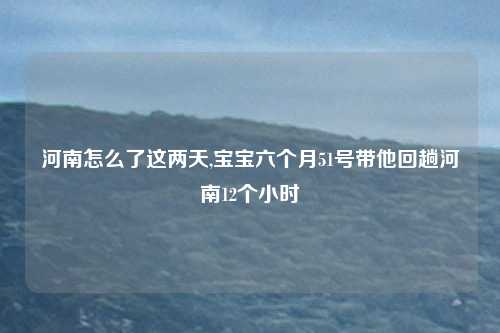 河南怎么了这两天,宝宝六个月51号带他回趟河南12个小时