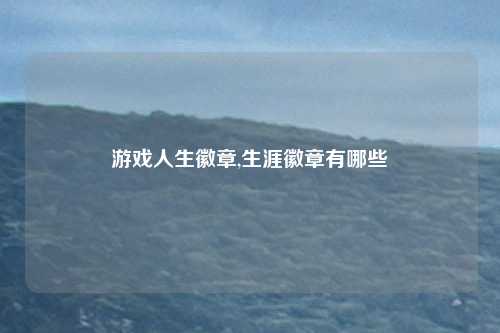 游戏人生徽章,生涯徽章有哪些