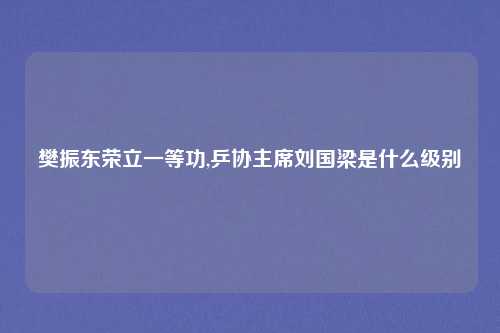 樊振东荣立一等功,乒协主席刘国梁是什么级别