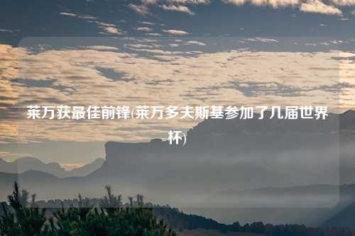 莱万获最佳前锋(莱万多夫斯基参加了几届世界杯)