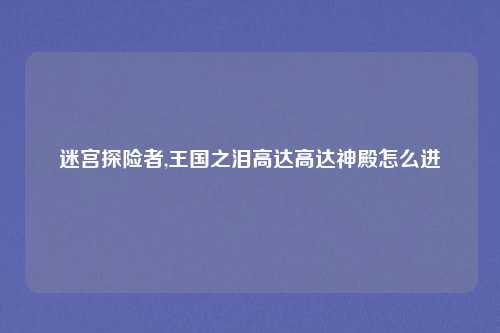 迷宫探险者,王国之泪高达高达神殿怎么进