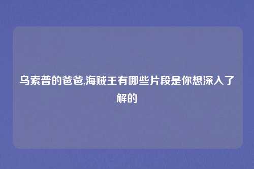 乌索普的爸爸,海贼王有哪些片段是你想深入了解的