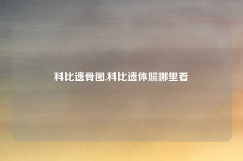 科比遗骨图,科比遗体照哪里看
