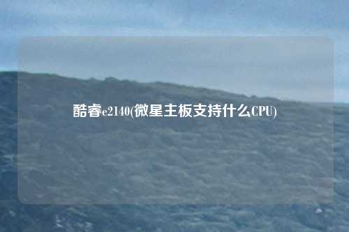 酷睿e2140(微星主板支持什么CPU)