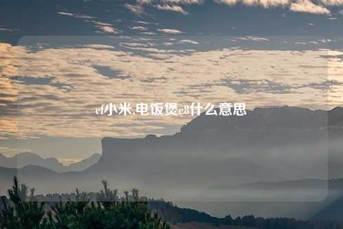 cf小米,电饭煲e8什么意思