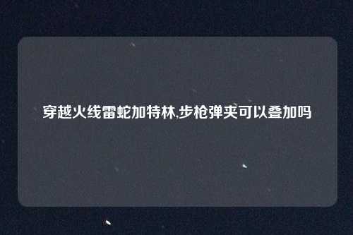 穿越火线雷蛇加特林,步枪弹夹可以叠加吗