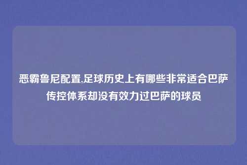 恶霸鲁尼配置,足球历史上有哪些非常适合巴萨传控体系却没有效力过巴萨的球员