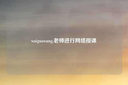 waiguawang,老师进行网络授课