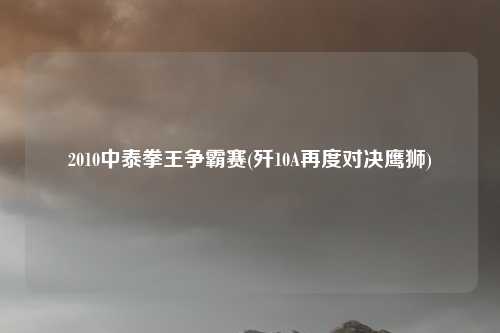 2010中泰拳王争霸赛(歼10A再度对决鹰狮)