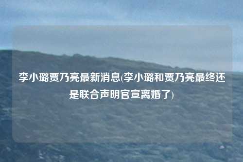 李小璐贾乃亮最新消息(李小璐和贾乃亮最终还是联合声明官宣离婚了)