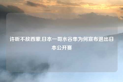 许昕不敌西蒙,日本一哥水谷隼为何宣布退出日本公开赛