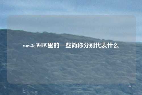 wow3c,WOW里的一些简称分别代表什么