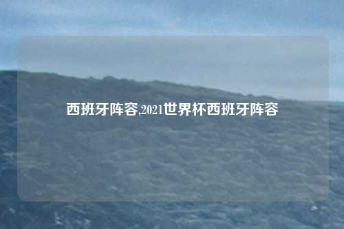 西班牙阵容,2021世界杯西班牙阵容