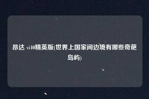 昂达 vi40精英版(世界上国家间边境有哪些奇葩岛屿)
