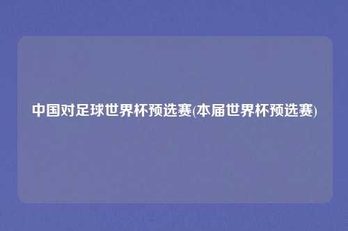 中国对足球世界杯预选赛(本届世界杯预选赛)