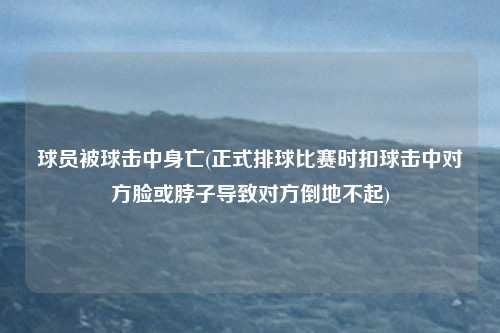 球员被球击中身亡(正式排球比赛时扣球击中对方脸或脖子导致对方倒地不起)