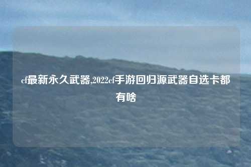 cf最新永久武器,2022cf手游回归源武器自选卡都有啥