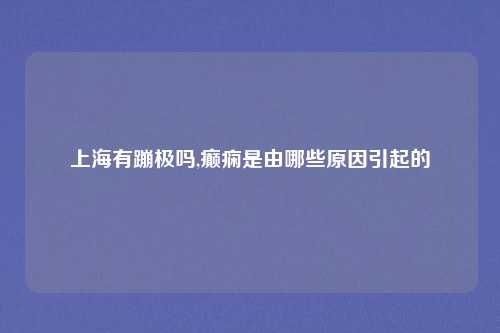 上海有蹦极吗,癫痫是由哪些原因引起的