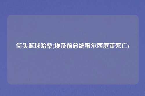 街头篮球哈桑(埃及前总统穆尔西庭审死亡)