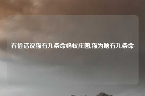 有俗话说猫有九条命蚂蚁庄园,猫为啥有九条命