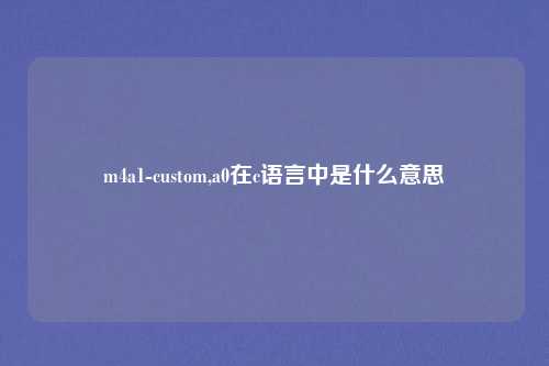 m4a1-custom,a0在c语言中是什么意思