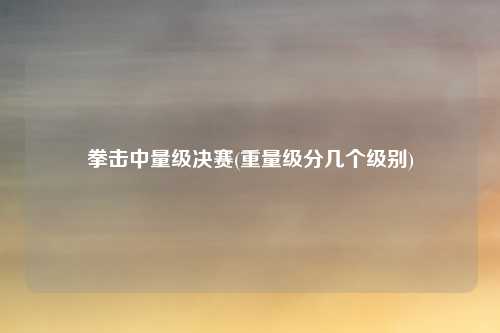 拳击中量级决赛(重量级分几个级别)