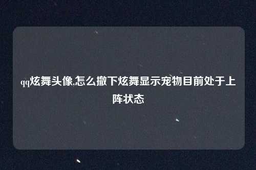 qq炫舞头像,怎么撤下炫舞显示宠物目前处于上阵状态