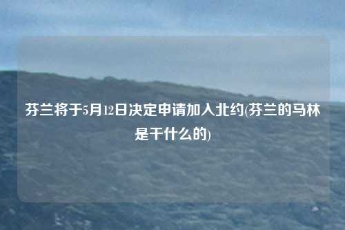 芬兰将于5月12日决定申请加入北约(芬兰的马林是干什么的)