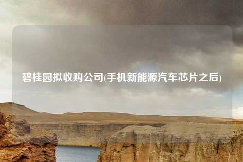 碧桂园拟收购公司(手机新能源汽车芯片之后)