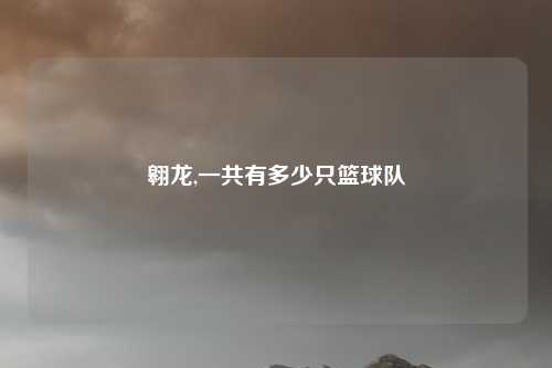 翱龙,一共有多少只篮球队
