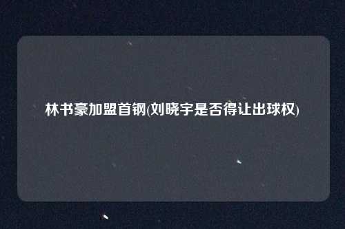 林书豪加盟首钢(刘晓宇是否得让出球权)