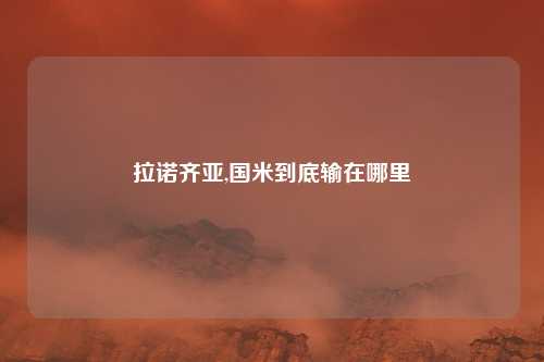 拉诺齐亚,国米到底输在哪里