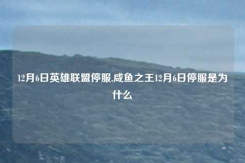 12月6日英雄联盟停服,咸鱼之王12月6日停服是为什么