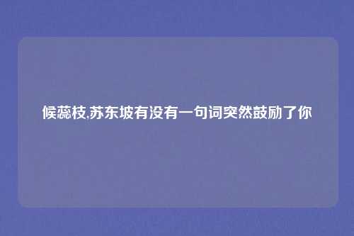 候蕊枝,苏东坡有没有一句词突然鼓励了你