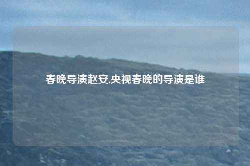 春晚导演赵安,央视春晚的导演是谁