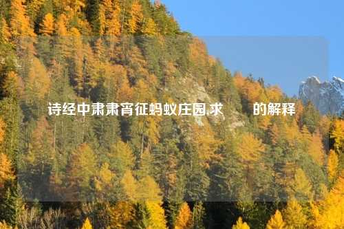 诗经中肃肃宵征蚂蚁庄园,求袛裯的解释