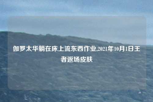 伽罗太华躺在床上流东西作业,2021年10月1日王者返场皮肤