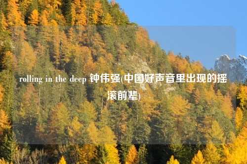 rolling in the deep 钟伟强(中国好声音里出现的摇滚前辈)