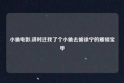 小偷电影,讲时迁找了个小偷去偷徐宁的雁翎宝甲