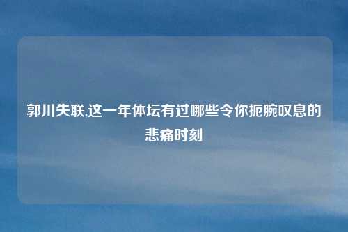 郭川失联,这一年体坛有过哪些令你扼腕叹息的悲痛时刻