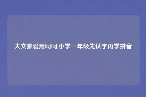 大文豪爱用呵呵,小学一年级先认字再学拼音