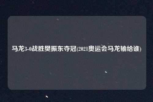 马龙3-0战胜樊振东夺冠(2021奥运会马龙输给谁)