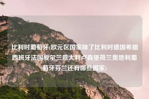 比利时葡萄牙(欧元区国家除了比利时德国希腊西班牙法国爱尔兰意大利卢森堡荷兰奥地利葡萄牙芬兰还有哪些国家)