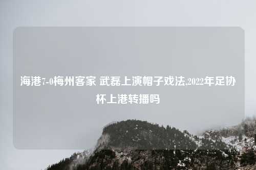 海港7-0梅州客家 武磊上演帽子戏法,2022年足协杯上港转播吗