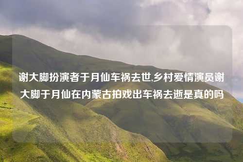 谢大脚扮演者于月仙车祸去世,乡村爱情演员谢大脚于月仙在内蒙古拍戏出车祸去逝是真的吗