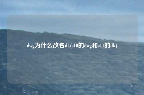 dwg为什么改名dk(s10的dwg和s11的dk)